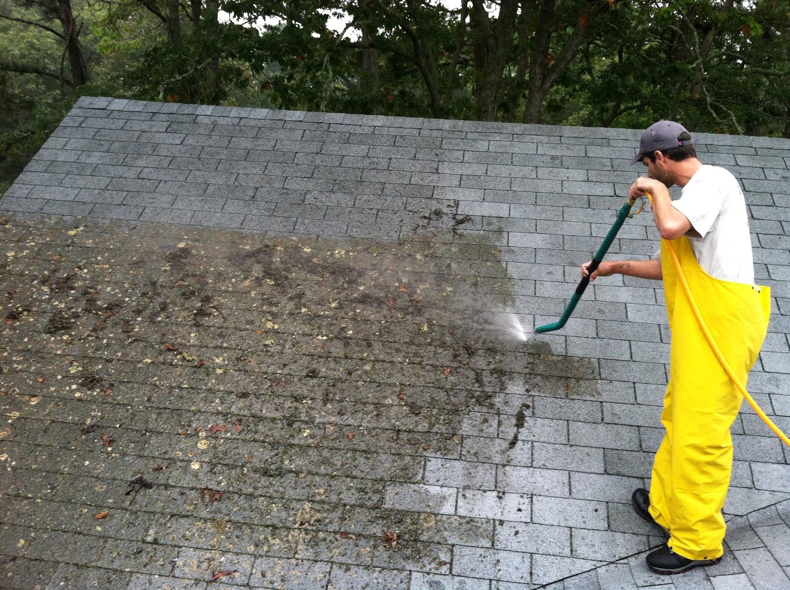 The Benefits of Hiring Professional Roof Cleaners for a Pristine and Long-Lasting Roof