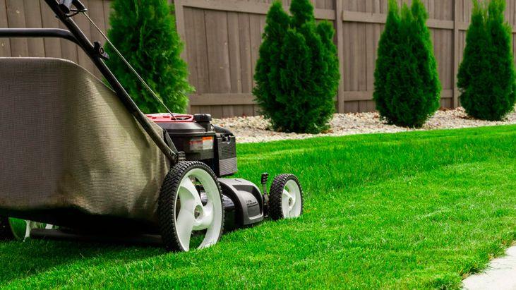 expert lawn care
